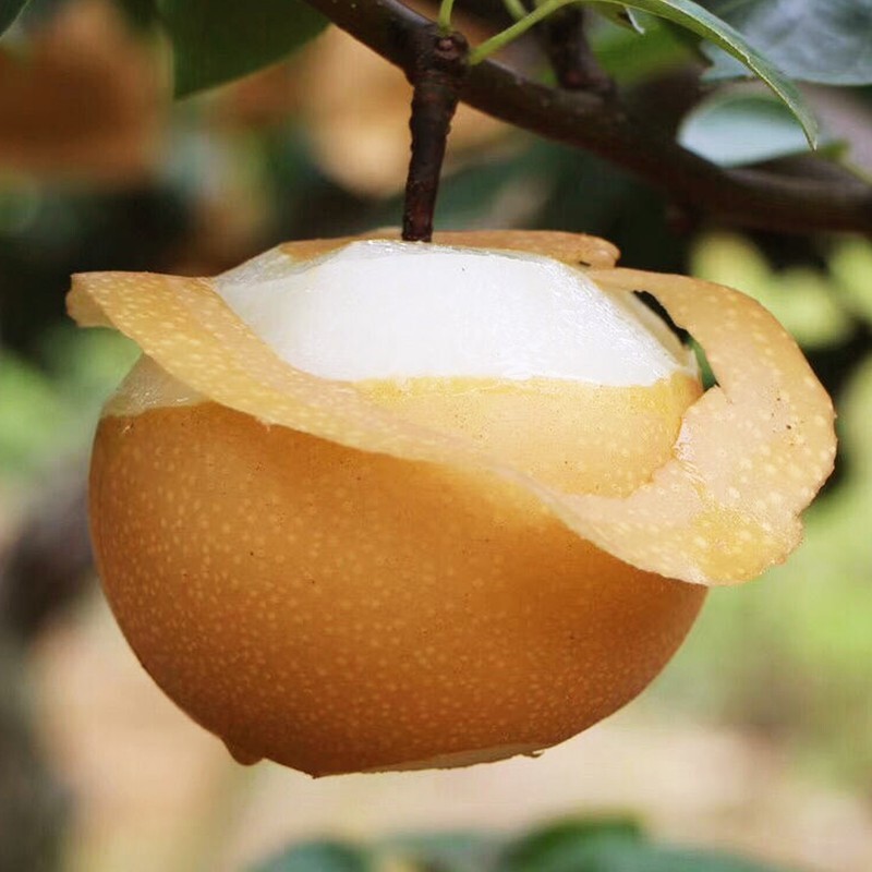 16942256627776442536322841634-jpg-31f257